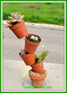 mini vasi con succulente