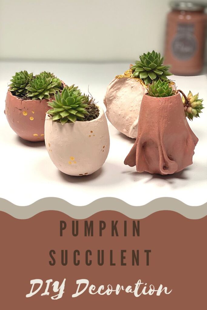 vasi fatti con zucche essiccate e colorate - succulent pumpkin diy decoration
